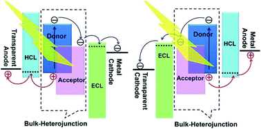 Graphical abstract: Solution-processable metal oxides/chelates as electrode buffer layers for efficient and stable polymer solar cells