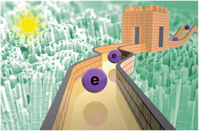 Graphical abstract: Recent progress in solar cells based on one-dimensional nanomaterials