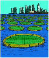 Graphical abstract: Biophotovoltaics: oxygenic photosynthetic organisms in the world of bioelectrochemical systems