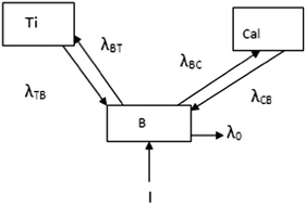 Graphical abstract: The estimation of the rates of lead exchange between body compartments of smelter employees