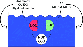 Graphical abstract: Towards energy neutral wastewater treatment: methodology and state of the art