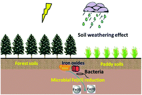 Graphical abstract: Influence of geochemical properties and land-use types on the microbial reduction of Fe(iii) in subtropical soils