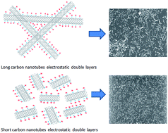 Graphical abstract: Fractionation of carboxylated carbon nanotubes and the corresponding variation in their colloidal behavior