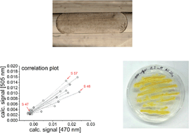 Graphical abstract: Micro-segmented flow and multisensor-technology for microbial activity profiling