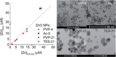 Graphical abstract: Direct in situ measurement of dissolved zinc in the presence of zinc oxide nanoparticles using anodic stripping voltammetry