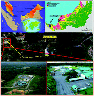 Graphical abstract: Prediction analysis of effluent removal in a septic sludge treatment plant: a biomimetics engineering approach