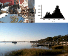 Graphical abstract: Molecular signature of organic nitrogen in septic-impacted groundwater