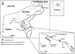 Graphical abstract: Mercury methylation and demethylation in highly contaminated sediments from the Deûle River in Northern France using species-specific enriched stable isotopes