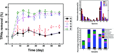 Graphical abstract: Kinetic and multidimensional profiling of accelerated degradation of oil sludge by biostimulation