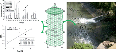 Graphical abstract: Biological effects and bioaccumulation of pharmaceutically active compounds in crucian carp caged near the outfall of a sewage treatment plant