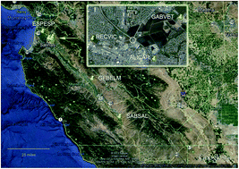 Graphical abstract: Male-specific coliphages for source tracking fecal contamination in surface waters and prevalence of Shiga-toxigenic Escherichia coli in a major produce production region of the Central Coast of California