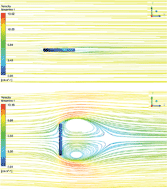 Graphical abstract: Effect of the orientation and fluid flow on the accumulation of organotin compounds to Chemcatcher passive samplers