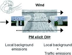 Graphical abstract: Oxidative potential of particulate matter at a German motorway