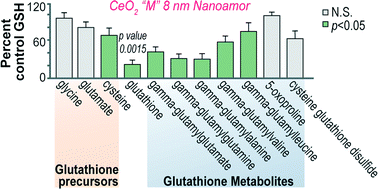 Graphical abstract: Metabolomic effects in HepG2 cells exposed to four TiO2 and two CeO2 nanomaterials