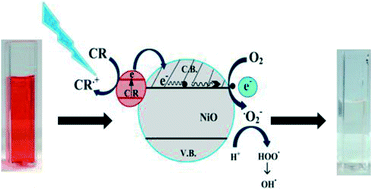 Graphical abstract: Fabrication and characterization of poly(ethylene oxide) templated nickel oxide nanofibers for dye degradation