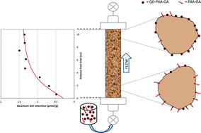 Graphical abstract: A multi-constituent site blocking model for nanoparticle and stabilizing agent transport in porous media