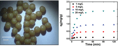 Graphical abstract: Preparation and characterization of potassium nickel hexacyanoferrate-loaded hydrogel beads for the removal of cesium ions