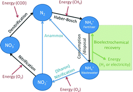 Graphical abstract: Bioelectrochemical systems for nitrogen removal and recovery from wastewater