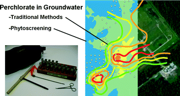 Graphical abstract: Phytoscreening for perchlorate: rapid analysis of tree sap