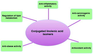 Graphical abstract: Conjugated linolenic acids and their bioactivities: a review