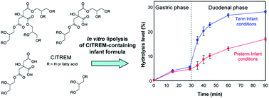 Graphical abstract: In vitro digestion of citric acid esters of mono- and diglycerides (CITREM) and CITREM-containing infant formula/emulsions