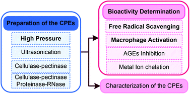 Graphical abstract: A comparison on the preparation of hot water extracts from Chlorella pyrenoidosa (CPEs) and radical scavenging and macrophage activation effects of CPEs