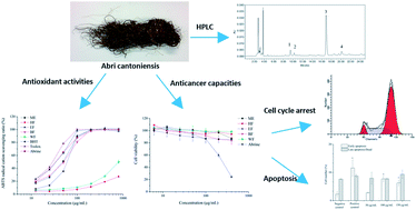 Graphical abstract: In vitro antioxidant activities and anti-proliferative properties of the functional herb Abrus cantoniensis and its main alkaloid abrine