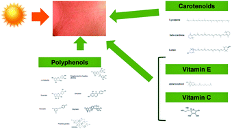 Graphical abstract: Skin protection against UV light by dietary antioxidants