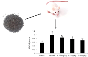 Graphical abstract: Ameliorative effect of black rice anthocyanin on senescent mice induced by d-galactose