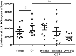 Graphical abstract: Dietary squid ink polysaccharides ameliorated the intestinal microflora dysfunction in mice undergoing chemotherapy