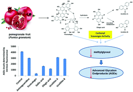 Graphical abstract: Pomegranate phenolics inhibit formation of advanced glycation endproducts by scavenging reactive carbonyl species