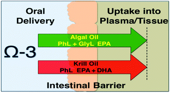 Graphical abstract: Comparative study of tissue deposition of omega-3 fatty acids from polar-lipid rich oil of the microalgae Nannochloropsis oculata with krill oil in rats