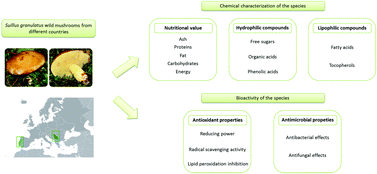 Graphical abstract: Can Suillus granulatus (L.) Roussel be classified as a functional food?