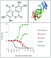 Graphical abstract: JAK2 and AMP-kinase inhibition in vitro by food extracts, fractions and purified phytochemicals