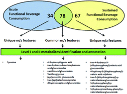 Graphical abstract: Metabolic fingerprint after acute and under sustained consumption of a functional beverage based on grape skin extract in healthy human subjects