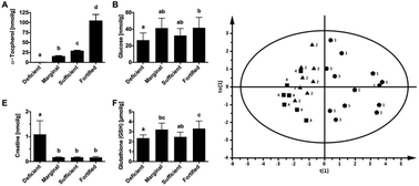 Graphical abstract: Non-targeted 1H-NMR-metabolomics suggest the induction of master regulators of energy metabolism in the liver of vitamin E-deficient rats