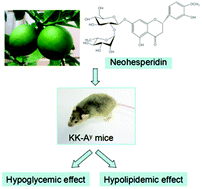 Graphical abstract: Hypoglycemic and hypolipidemic effects of neohesperidin derived from Citrus aurantium L. in diabetic KK-Ay mice