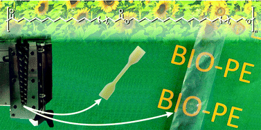 Graphical abstract: Long-chain aliphatic polyesters from plant oils for injection molding, film extrusion and electrospinning