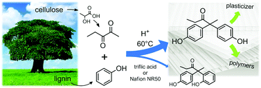 Graphical abstract: Regioselective synthesis of renewable bisphenols from 2,3-pentanedione and their application as plasticizers