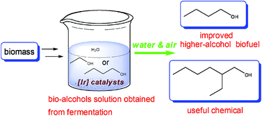 Graphical abstract: Direct self-condensation of bio-alcohols in the aqueous phase