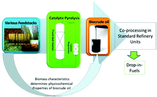 Graphical abstract: Catalytic pyrolysis for the production of refinery-ready biocrude oils from six different biomass sources