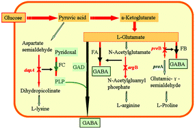 Graphical abstract: Efficient one-step preparation of γ-aminobutyric acid from glucose without an exogenous cofactor by the designed Corynebacterium glutamicum