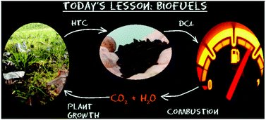 Graphical abstract: An alternative method for the production of second-generation biofuels