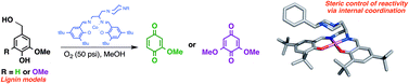 Graphical abstract: Steric effects in the design of Co-Schiff base complexes for the catalytic oxidation of lignin models to para-benzoquinones