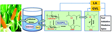 Graphical abstract: High-yield production of levulinic acid from cellulose and its upgrading to γ-valerolactone