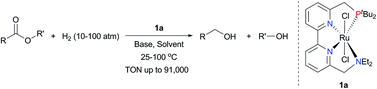 Graphical abstract: Ruthenium complexes of tetradentate bipyridine ligands: highly efficient catalysts for the hydrogenation of carboxylic esters and lactones