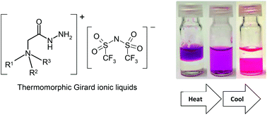 Graphical abstract: Tunable thermomorphism and applications of ionic liquid analogues of Girard's reagents