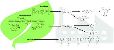 Graphical abstract: Targeted chemical upgrading of lignocellulosic biomass to platform molecules