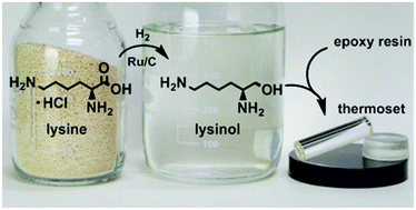 Graphical abstract: Lysinol: a renewably resourced alternative to petrochemical polyamines and aminoalcohols