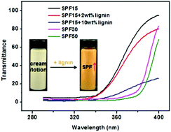 Graphical abstract: Lignin: a nature-inspired sun blocker for broad-spectrum sunscreens